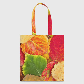 Сумка 3D повседневная с принтом Осень в Петрозаводске, 100% полиэстер | Плотность: 200 г/м2; Размер: 34×35 см; Высота лямок: 30 см | берёза | дары осени | жёлтый | зелёный | золотой | краски | красный | красота | листва | листья | наряд | оранжевый | осень | осина | покров | природа