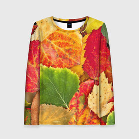 Женский лонгслив 3D с принтом Осень в Петрозаводске, 100% полиэстер | длинные рукава, круглый вырез горловины, полуприлегающий силуэт | Тематика изображения на принте: берёза | дары осени | жёлтый | зелёный | золотой | краски | красный | красота | листва | листья | наряд | оранжевый | осень | осина | покров | природа