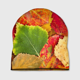 Шапка 3D с принтом Осень в Петрозаводске, 100% полиэстер | универсальный размер, печать по всей поверхности изделия | Тематика изображения на принте: берёза | дары осени | жёлтый | зелёный | золотой | краски | красный | красота | листва | листья | наряд | оранжевый | осень | осина | покров | природа