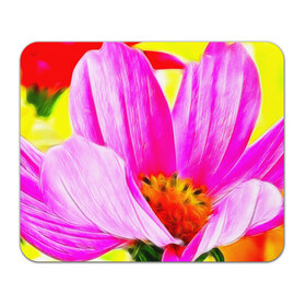 Коврик прямоугольный с принтом Цветы в Петрозаводске, натуральный каучук | размер 230 х 185 мм; запечатка лицевой стороны | арт | красота | природа | цветы