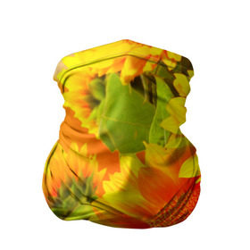 Бандана-труба 3D с принтом Подсолнух в Петрозаводске, 100% полиэстер, ткань с особыми свойствами — Activecool | плотность 150‒180 г/м2; хорошо тянется, но сохраняет форму | желтая | подсолнух | поле | природа | цветы