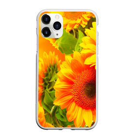 Чехол для iPhone 11 Pro матовый с принтом Подсолнух в Петрозаводске, Силикон |  | желтая | подсолнух | поле | природа | цветы