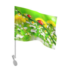 Флаг для автомобиля с принтом Макро в Петрозаводске, 100% полиэстер | Размер: 30*21 см | божья коровка | насекомые | одуванчик | природа | цветы