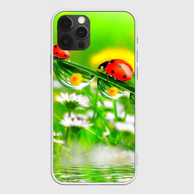 Чехол для iPhone 12 Pro Max с принтом Макро в Петрозаводске, Силикон |  | Тематика изображения на принте: божья коровка | насекомые | одуванчик | природа | цветы