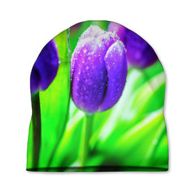 Шапка 3D с принтом Тюльпаны в Петрозаводске, 100% полиэстер | универсальный размер, печать по всей поверхности изделия | Тематика изображения на принте: красота | поле | природа | тюльпаны | цветы