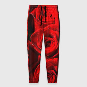 Мужские брюки 3D с принтом Розы в Петрозаводске, 100% полиэстер | манжеты по низу, эластичный пояс регулируется шнурком, по бокам два кармана без застежек, внутренняя часть кармана из мелкой сетки | красная | роза | роса | цветок