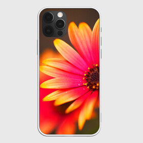 Чехол для iPhone 12 Pro Max с принтом Цветы в Петрозаводске, Силикон |  | 3д | красивая | природа | цветок