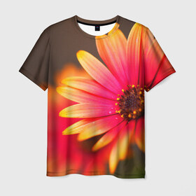 Мужская футболка 3D с принтом Цветы в Петрозаводске, 100% полиэфир | прямой крой, круглый вырез горловины, длина до линии бедер | 3д | красивая | природа | цветок