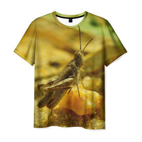 Мужская футболка 3D с принтом Кузнечик в Петрозаводске, 100% полиэфир | прямой крой, круглый вырез горловины, длина до линии бедер | кузнечик | насекомые
