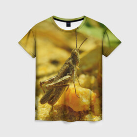 Женская футболка 3D с принтом Кузнечик в Петрозаводске, 100% полиэфир ( синтетическое хлопкоподобное полотно) | прямой крой, круглый вырез горловины, длина до линии бедер | кузнечик | насекомые