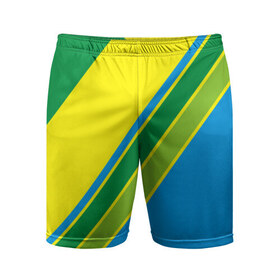 Мужские шорты 3D спортивные с принтом Линии в Петрозаводске,  |  | абстракция | желтый | зеленый | линии | полоски | полосы | разноцветные | синий | текстура