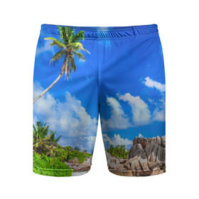 Мужские шорты 3D спортивные с принтом Сейшельские острова в Петрозаводске,  |  | seychelles | восточная африка | индийский океан | каникулы | море | островное государство | отдых | отпуск | пальмы | песок | пляж | приключение | путешествие | рай | сейшелы | сейшельские острова | туризм