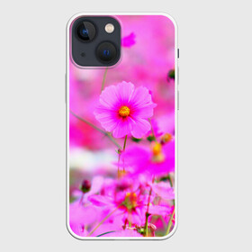 Чехол для iPhone 13 mini с принтом Цветы в Петрозаводске,  |  | лепесток | природа | цветок | яркая