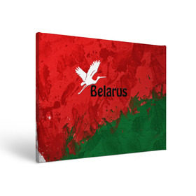 Холст прямоугольный с принтом Belarus 2 в Петрозаводске, 100% ПВХ |  | Тематика изображения на принте: belarus | беларусь