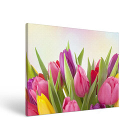 Холст прямоугольный с принтом Тюльпаны в Петрозаводске, 100% ПВХ |  | 8 марта | аромат | букет | вазон | великолепие | дача | девушки | женщины | краски | красота | куст | лужайка | милые цветы | огород | палитра | прелесть | радуга | растение | тюльпаны