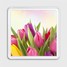 Магнит 55*55 с принтом Тюльпаны в Петрозаводске, Пластик | Размер: 65*65 мм; Размер печати: 55*55 мм | 8 марта | аромат | букет | вазон | великолепие | дача | девушки | женщины | краски | красота | куст | лужайка | милые цветы | огород | палитра | прелесть | радуга | растение | тюльпаны