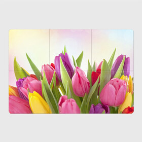 Магнитный плакат 3Х2 с принтом Тюльпаны в Петрозаводске, Полимерный материал с магнитным слоем | 6 деталей размером 9*9 см | 8 марта | аромат | букет | вазон | великолепие | дача | девушки | женщины | краски | красота | куст | лужайка | милые цветы | огород | палитра | прелесть | радуга | растение | тюльпаны