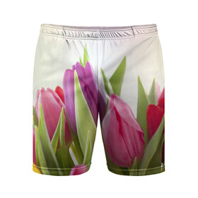 Мужские шорты 3D спортивные с принтом Тюльпаны в Петрозаводске,  |  | Тематика изображения на принте: 8 марта | аромат | букет | вазон | великолепие | дача | девушки | женщины | краски | красота | куст | лужайка | милые цветы | огород | палитра | прелесть | радуга | растение | тюльпаны
