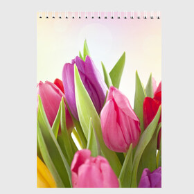 Скетчбук с принтом Тюльпаны в Петрозаводске, 100% бумага
 | 48 листов, плотность листов — 100 г/м2, плотность картонной обложки — 250 г/м2. Листы скреплены сверху удобной пружинной спиралью | 8 марта | аромат | букет | вазон | великолепие | дача | девушки | женщины | краски | красота | куст | лужайка | милые цветы | огород | палитра | прелесть | радуга | растение | тюльпаны