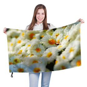 Флаг 3D с принтом Хризантемы в Петрозаводске, 100% полиэстер | плотность ткани — 95 г/м2, размер — 67 х 109 см. Принт наносится с одной стороны | белая | букет | красота | хризантема | цветок