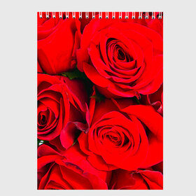 Скетчбук с принтом Розы в Петрозаводске, 100% бумага
 | 48 листов, плотность листов — 100 г/м2, плотность картонной обложки — 250 г/м2. Листы скреплены сверху удобной пружинной спиралью | букет | красная | лепестки | роза | цветы