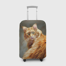Чехол для чемодана 3D с принтом Рыжий в Петрозаводске, 86% полиэфир, 14% спандекс | двустороннее нанесение принта, прорези для ручек и колес | cat | кот | кошка | рыжий