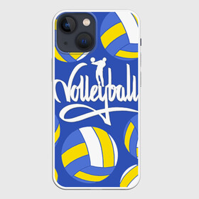 Чехол для iPhone 13 mini с принтом Волейбол 6 в Петрозаводске,  |  | volleyball | волейбол