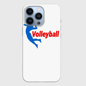 Чехол для iPhone 13 Pro с принтом Волейбол 31 в Петрозаводске,  |  | volleyball | волейбол