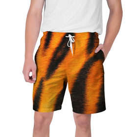 Мужские шорты 3D с принтом Шкура тигра в Петрозаводске,  полиэстер 100% | прямой крой, два кармана без застежек по бокам. Мягкая трикотажная резинка на поясе, внутри которой широкие завязки. Длина чуть выше колен | кошка | полосатая | текстуры | тигр