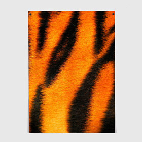 Постер с принтом Шкура тигра в Петрозаводске, 100% бумага
 | бумага, плотность 150 мг. Матовая, но за счет высокого коэффициента гладкости имеет небольшой блеск и дает на свету блики, но в отличии от глянцевой бумаги не покрыта лаком | кошка | полосатая | текстуры | тигр