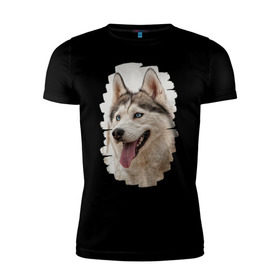 Мужская футболка премиум с принтом Симпотяга волк в Петрозаводске, 92% хлопок, 8% лайкра | приталенный силуэт, круглый вырез ворота, длина до линии бедра, короткий рукав | зверь | серый | хаски | хаски бандит