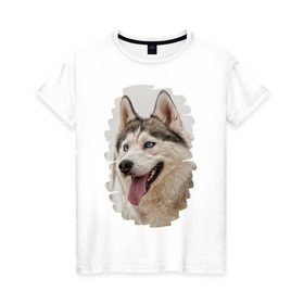 Женская футболка хлопок с принтом Симпотяга волк в Петрозаводске, 100% хлопок | прямой крой, круглый вырез горловины, длина до линии бедер, слегка спущенное плечо | зверь | серый | хаски | хаски бандит