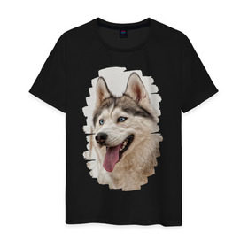Мужская футболка хлопок с принтом Симпотяга волк в Петрозаводске, 100% хлопок | прямой крой, круглый вырез горловины, длина до линии бедер, слегка спущенное плечо. | зверь | серый | хаски | хаски бандит