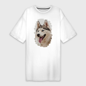 Платье-футболка хлопок с принтом Симпотяга волк в Петрозаводске,  |  | зверь | серый | хаски | хаски бандит