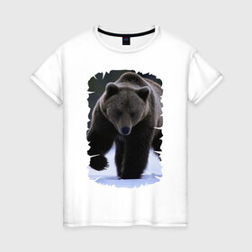 Женская футболка хлопок с принтом Русский медведь в Петрозаводске, 100% хлопок | прямой крой, круглый вырез горловины, длина до линии бедер, слегка спущенное плечо | берлога | животное | зверь | косолапый | медведь | мишка | потапыч | хищник | хозяин тайги