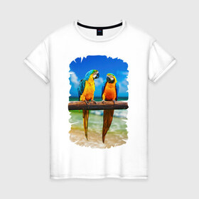 Женская футболка хлопок с принтом Попугаи в Петрозаводске, 100% хлопок | прямой крой, круглый вырез горловины, длина до линии бедер, слегка спущенное плечо | джунгли | клюв | острова | перья | попугай | птица | тропики | экзотика