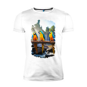 Мужская футболка премиум с принтом Попугаи на ветке в Петрозаводске, 92% хлопок, 8% лайкра | приталенный силуэт, круглый вырез ворота, длина до линии бедра, короткий рукав | джунгли | клюв | острова | перья | попугай | птица | тропики | экзотика