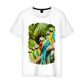 Мужская футболка хлопок с принтом Экзотические попугаи в Петрозаводске, 100% хлопок | прямой крой, круглый вырез горловины, длина до линии бедер, слегка спущенное плечо. | Тематика изображения на принте: джунгли | клюв | острова | перья | попугай | птица | тропики | экзотика