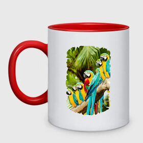 Кружка двухцветная с принтом Экзотические попугаи в Петрозаводске, керамика | объем — 330 мл, диаметр — 80 мм. Цветная ручка и кайма сверху, в некоторых цветах — вся внутренняя часть | джунгли | клюв | острова | перья | попугай | птица | тропики | экзотика