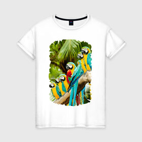 Женская футболка хлопок с принтом Экзотические попугаи в Петрозаводске, 100% хлопок | прямой крой, круглый вырез горловины, длина до линии бедер, слегка спущенное плечо | джунгли | клюв | острова | перья | попугай | птица | тропики | экзотика