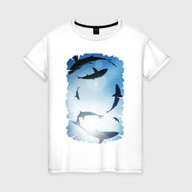 Женская футболка хлопок с принтом Акулы в Петрозаводске, 100% хлопок | прямой крой, круглый вырез горловины, длина до линии бедер, слегка спущенное плечо | акулы | море