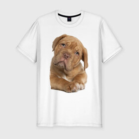 Мужская футболка премиум с принтом Милый щеночек в Петрозаводске, 92% хлопок, 8% лайкра | приталенный силуэт, круглый вырез ворота, длина до линии бедра, короткий рукав | животное | зверёк | красивый | ласковый | лучший друг человека | любимец | милый | нежный | питомец | собака | собачонка | щенок | щеночек