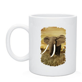 Кружка с принтом Могучий слон в Петрозаводске, керамика | объем — 330 мл, диаметр — 80 мм. Принт наносится на бока кружки, можно сделать два разных изображения | elephant | африка | бивни | джунгли | мамонт | савана | сафари | слон | хобот
