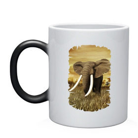 Кружка хамелеон с принтом Могучий слон в Петрозаводске, керамика | меняет цвет при нагревании, емкость 330 мл | elephant | африка | бивни | джунгли | мамонт | савана | сафари | слон | хобот