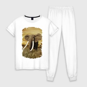 Женская пижама хлопок с принтом Могучий слон в Петрозаводске, 100% хлопок | брюки и футболка прямого кроя, без карманов, на брюках мягкая резинка на поясе и по низу штанин | elephant | африка | бивни | джунгли | мамонт | савана | сафари | слон | хобот