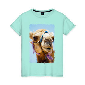 Женская футболка хлопок с принтом Верблюд в Петрозаводске, 100% хлопок | прямой крой, круглый вырез горловины, длина до линии бедер, слегка спущенное плечо | верблюд | горб | животное | караван | песок | плевок | пустыня