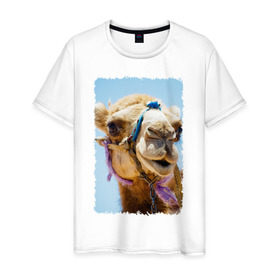 Мужская футболка хлопок с принтом Верблюд в Петрозаводске, 100% хлопок | прямой крой, круглый вырез горловины, длина до линии бедер, слегка спущенное плечо. | верблюд | горб | животное | караван | песок | плевок | пустыня