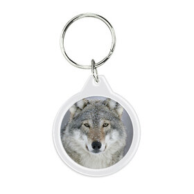 Брелок круглый с принтом Добрый волк в Петрозаводске, пластик и полированная сталь | круглая форма, металлическое крепление в виде кольца | взгляд | волк | волки | оскал