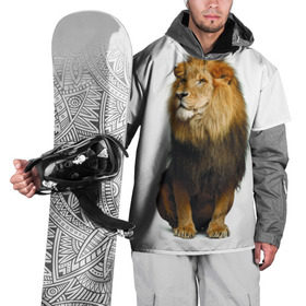 Накидка на куртку 3D с принтом Король джунглей в Петрозаводске, 100% полиэстер |  | leo | lion | власть | грива | дикая кошка | животное | зверь | клыки | когти | король джунглей | лев | мощь | мудрость | охотник | сила | хитрость | хищник | царь зверей | шерсть