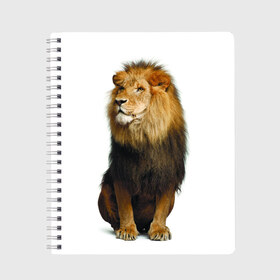 Тетрадь с принтом Король джунглей в Петрозаводске, 100% бумага | 48 листов, плотность листов — 60 г/м2, плотность картонной обложки — 250 г/м2. Листы скреплены сбоку удобной пружинной спиралью. Уголки страниц и обложки скругленные. Цвет линий — светло-серый
 | leo | lion | власть | грива | дикая кошка | животное | зверь | клыки | когти | король джунглей | лев | мощь | мудрость | охотник | сила | хитрость | хищник | царь зверей | шерсть